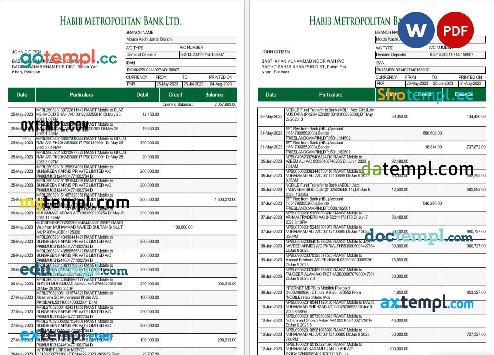 Pakistan Habib Metropolitan bank statement Word and PDF template, 5 pages